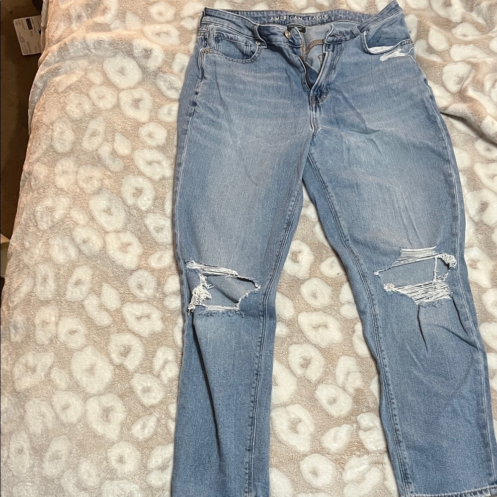 American Eagle Outfitters Light Blue Ripped Skinny Jeans